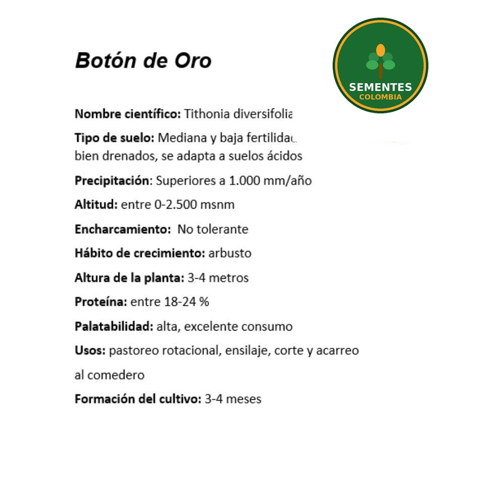 Semilla de Botón de Oro Bolsa 1kg